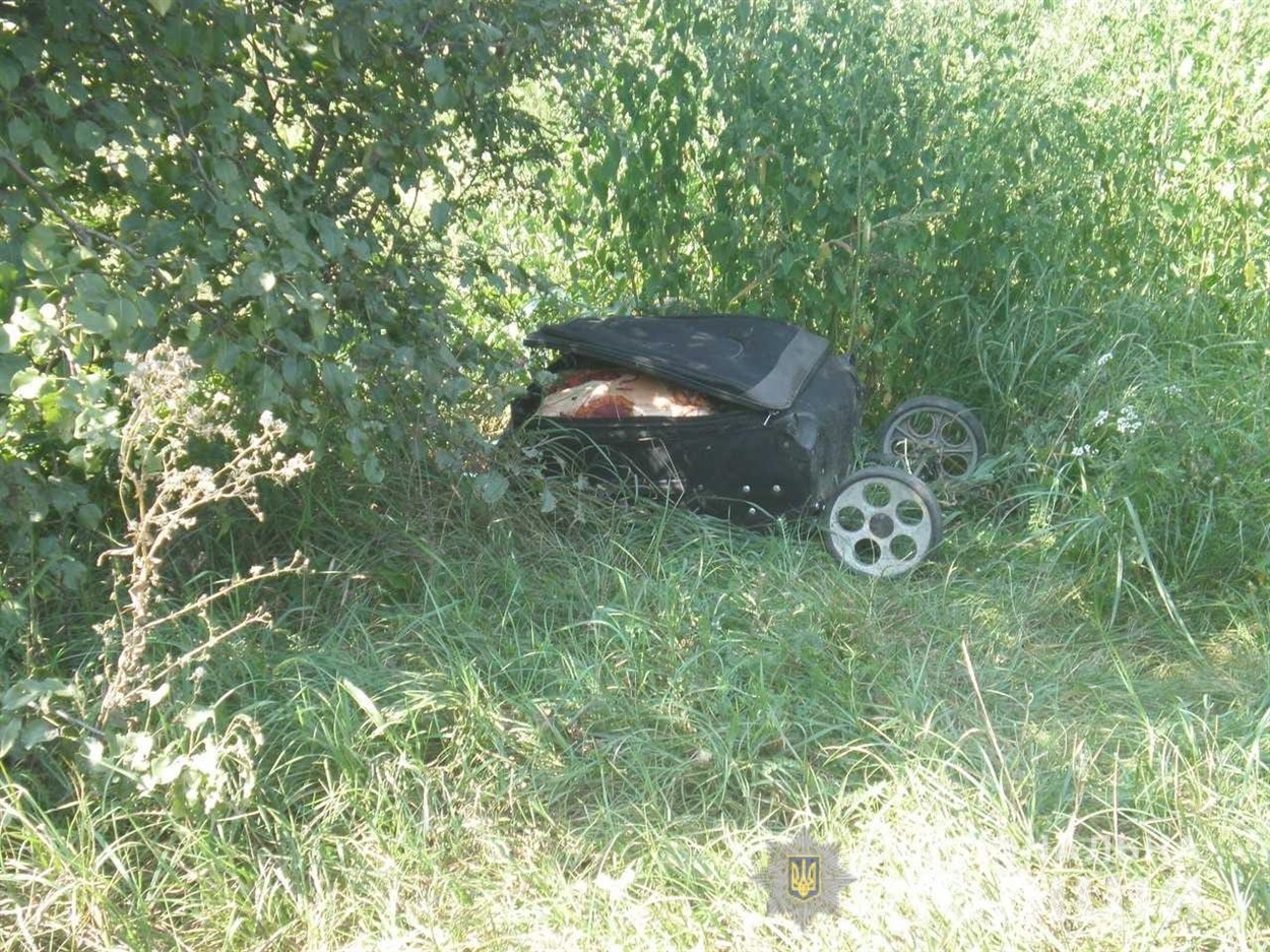 У цій валізі знайшли тіло жінки