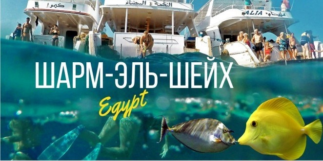 В Єгипті, 7 ночей з вильотом з Кишинева,
в готелі 5* можна відпочити за 31000 грн.