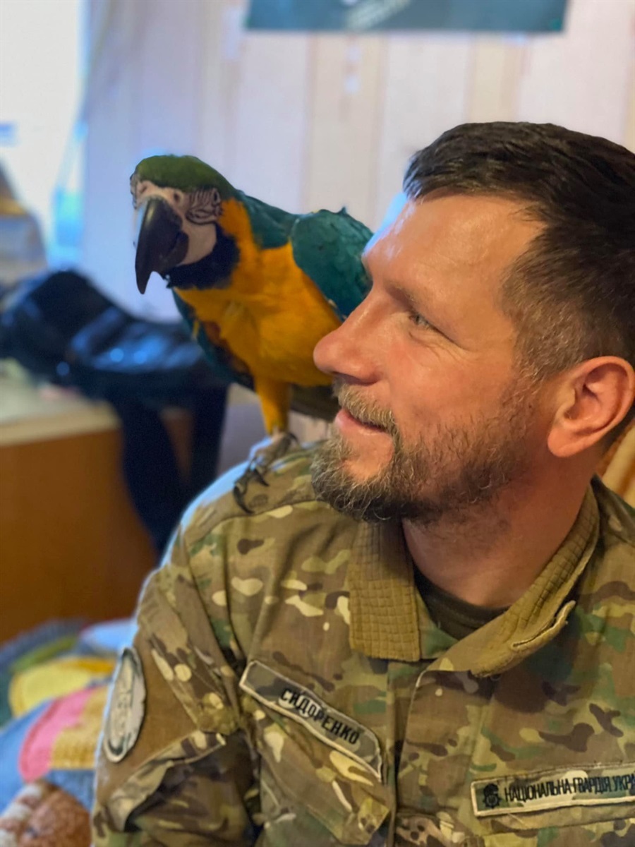 Андрій Сидоренко