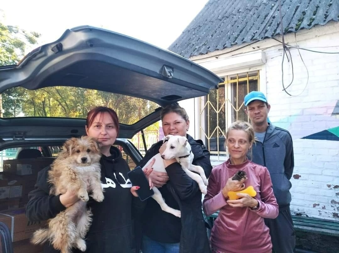 Команда зооволонтерів