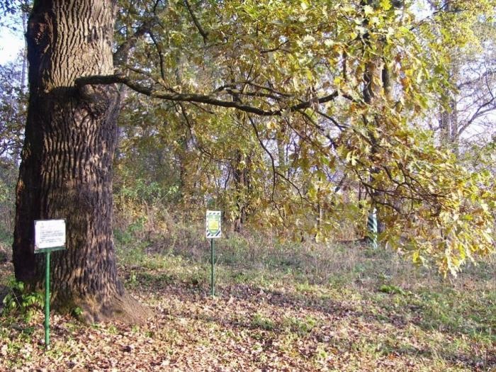 Подорож Фастовом: 15 місць, які має побачити кожен